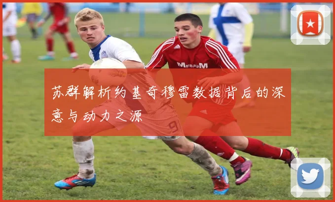 苏群解析约基奇穆雷数据背后的深意与动力之源